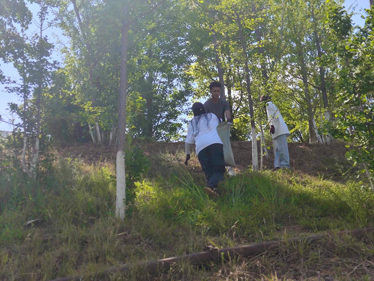 image10.jpeg
